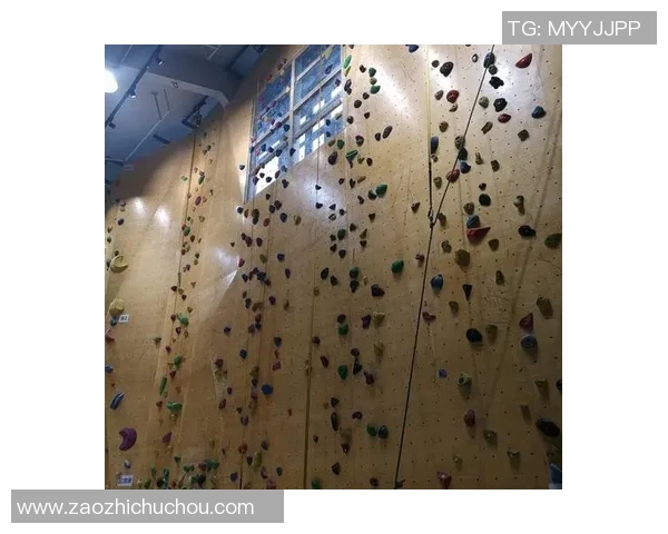 南京攀岩队与西安攀岩队赛后战术分析与复盘探讨