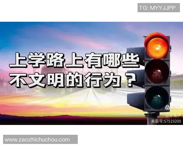 成都滑板队区域防守分析与战术调整探讨