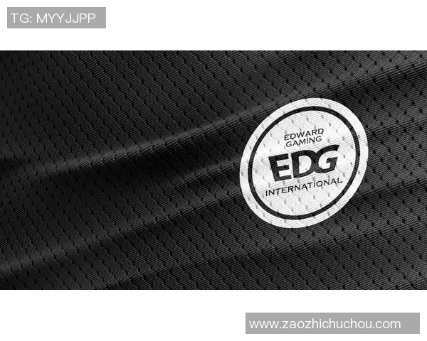 深入解析EDG战队的团队配合与数据表现分析