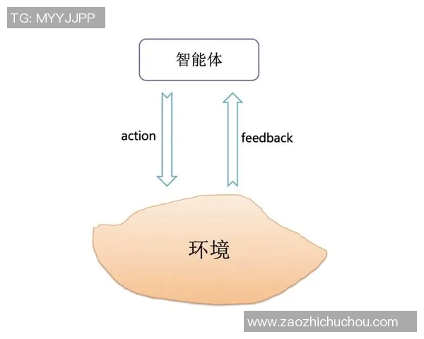 武汉排球队的转型之路与未来发展趋势深度解析